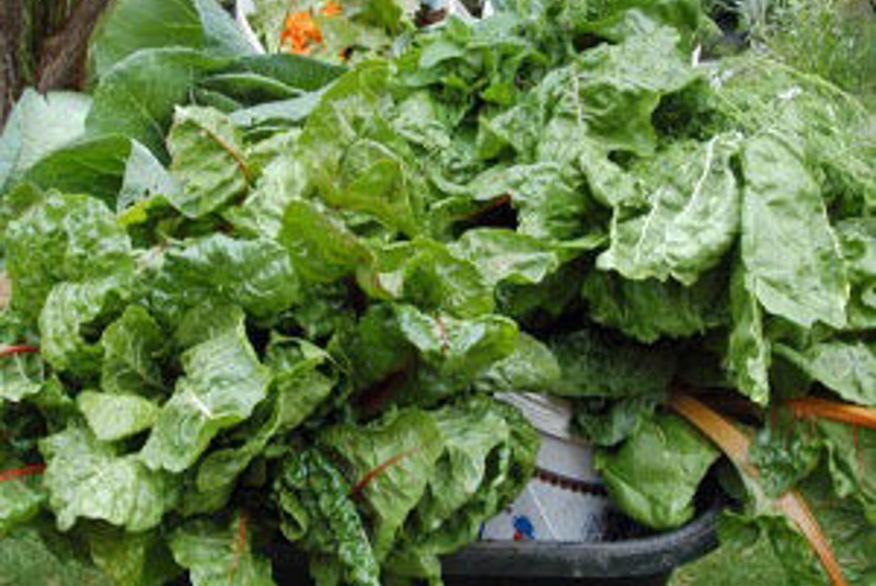 Rocklyn Ashram Vic: Yoga, Ecology & Lifestyle - with Swami Prembhava  Food is Prana - Annadwai Pranah